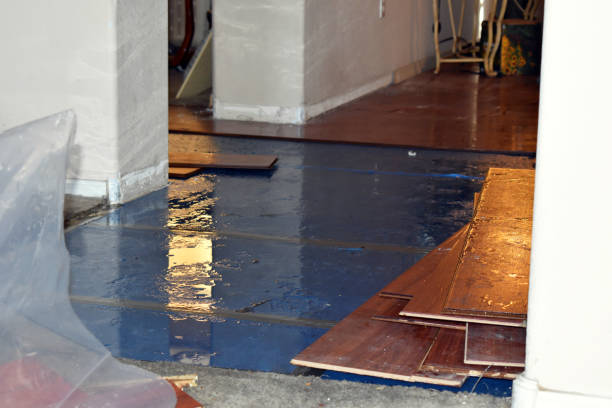 Professional Sewage Cleanup technician working in Westport, NC